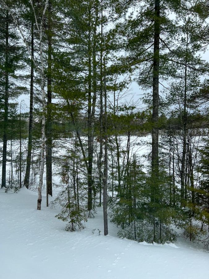 Cranberry Inn Mercer Екстер'єр фото